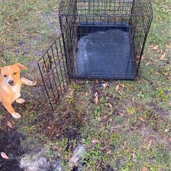 Dog Cage