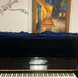 Magnificent Yamaha Professional, Upright Piano