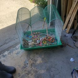 Cage for the birds