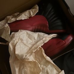 Jordan Retro 12s Flu Games 