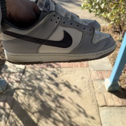 Used Nike Dunk Low SE Light Carbon size 10.5