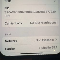 I Phone 13 Works Fine