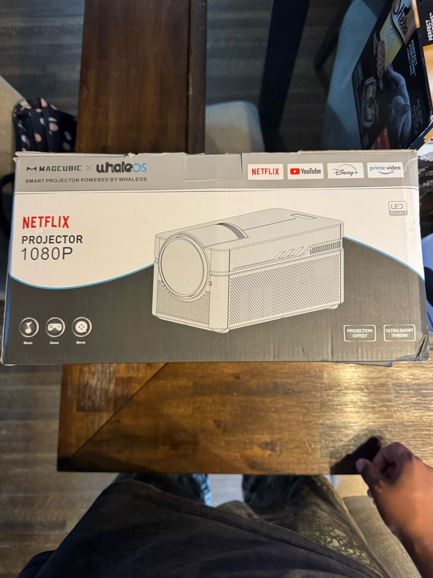 Projector