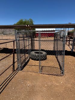 Dog run