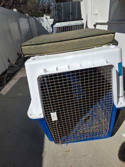 Extra Large Airline Approved Kennel