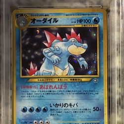 Pokemon - 2000 P.M. JAPANESE NEO FERALIGATR-HOLO