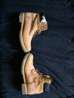 Timberlands size 12