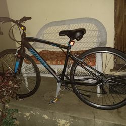 Infinity Boss.Three Bike