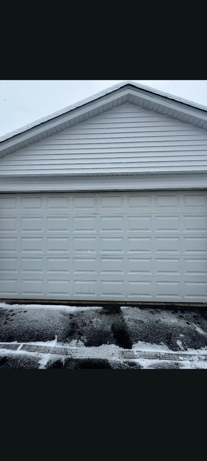Garage Door 16 X 8