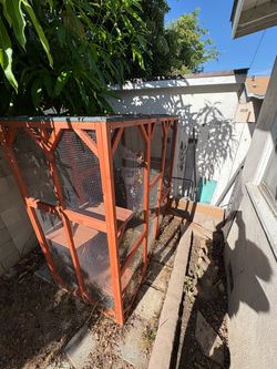 Catio