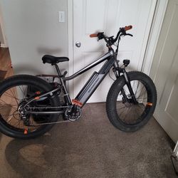 Rad Power Bike Rad Rover 6 Pro