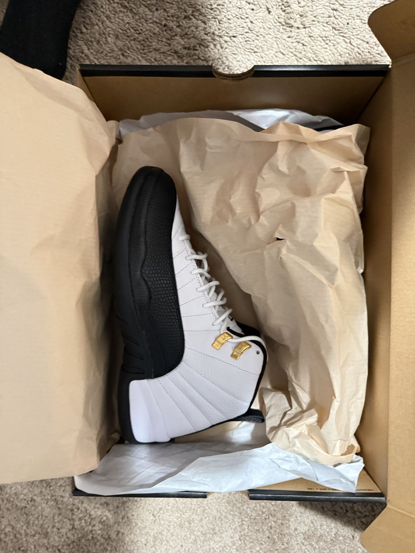 Jordan 12 