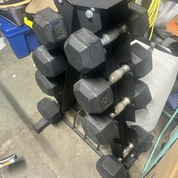 Dumbbells & Tree 