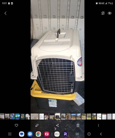 Petco Dog Travel Case