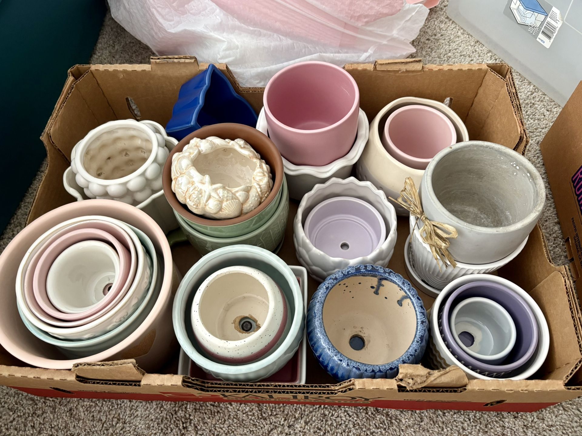 Lot of 30+ Pots for Plants, Succulents, & Propagations 🌿 NEED GONE BY 10/18