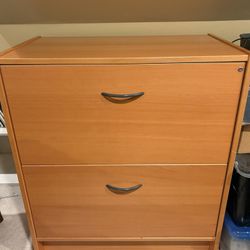 Double Drawer File Cabinet 