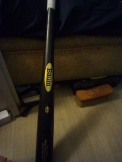Bat  Baum