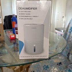 Lonove Mini Dehumidifier 