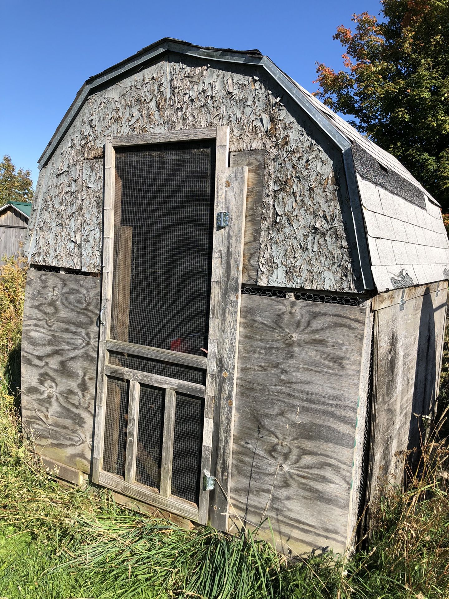 Chicken/turkey coop