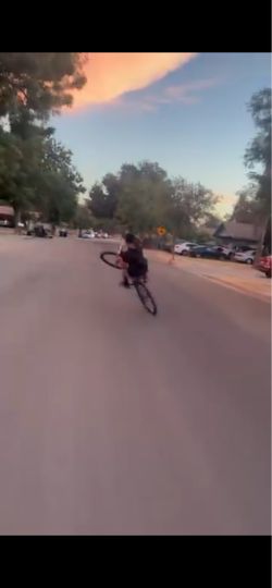 29inch mafia bomma or trade for mini bike