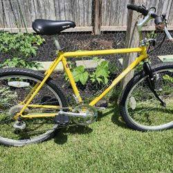 Mountain Bike For Sale