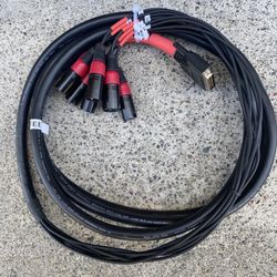 Avid 8 -Channel Snake D-Sub (male) to XLR (male) 12 Feet