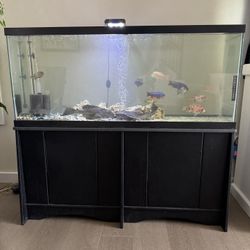 55 Gallon Aquarium, Fish Tank With Stand