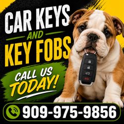 Car keys and remotes