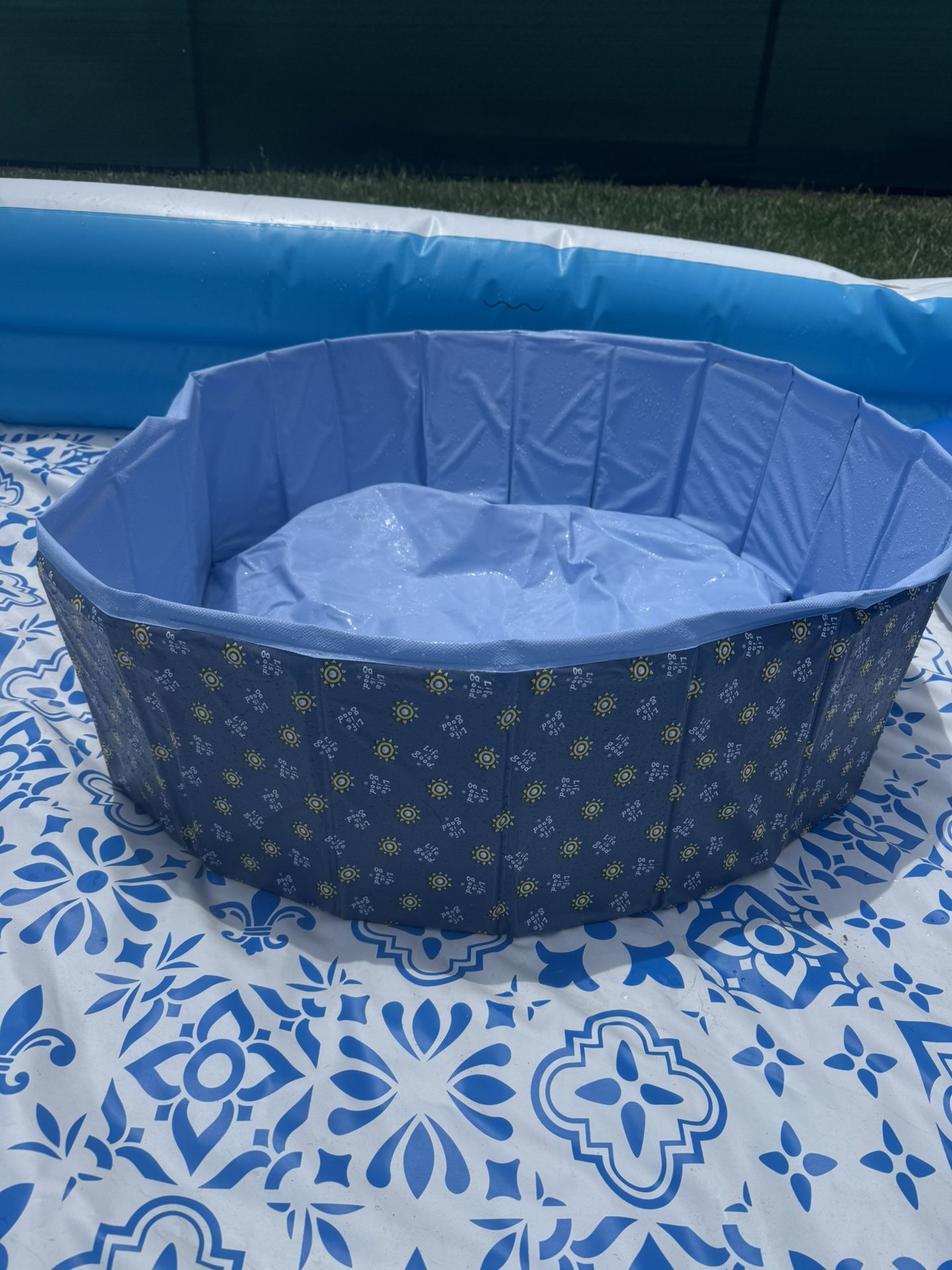 Life Is Good Dog Pool