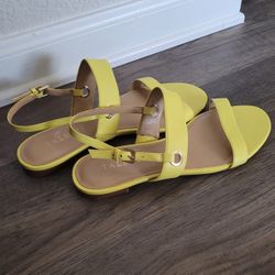 Talbot's Flats! Size 8