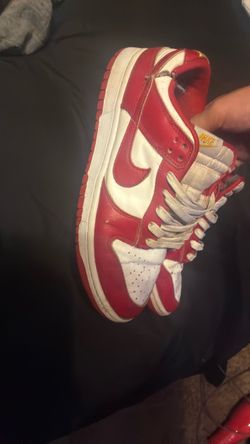 Nike dunk 9.5