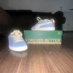 Puma Men’s Suede Expedition zen blue-brown mushroom