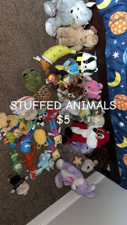 Stuffed Animals 