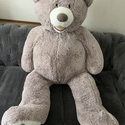 Bear $22