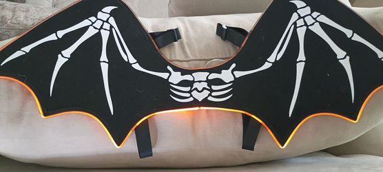 Halloween Bat Wings with Lights $10