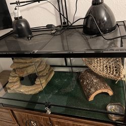 Reptile Inclosure 