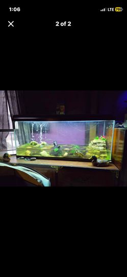 Turn Key Turtle Tank  $150 Vash