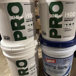 Pintura 🖼️ White Y Silicone 1 Cubeta Y 1 Pintura 