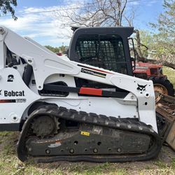Bobcat For Sale