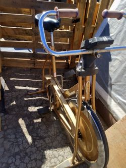 Schwinn Antique