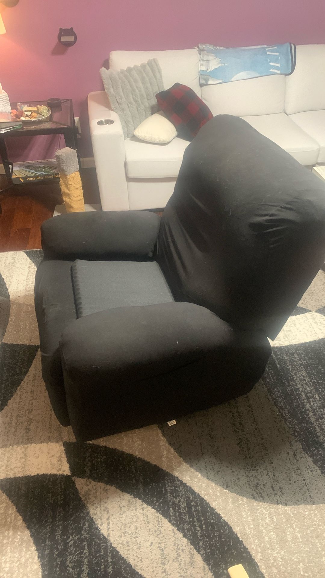 Free Reclining Chair