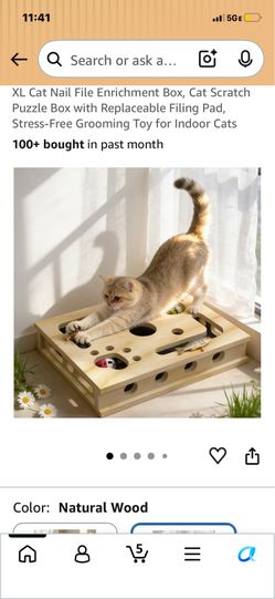 Cat scratcher with toys