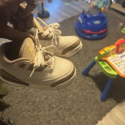 Palomino 3 Toddler Sz8