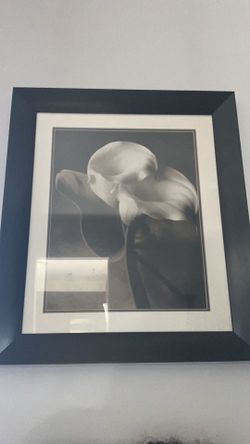 Frame