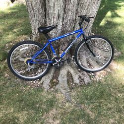 26” Mountain Bike 