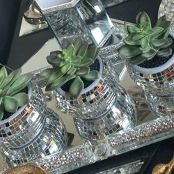 Beautiful Mirrored Succulents NEW $10/each