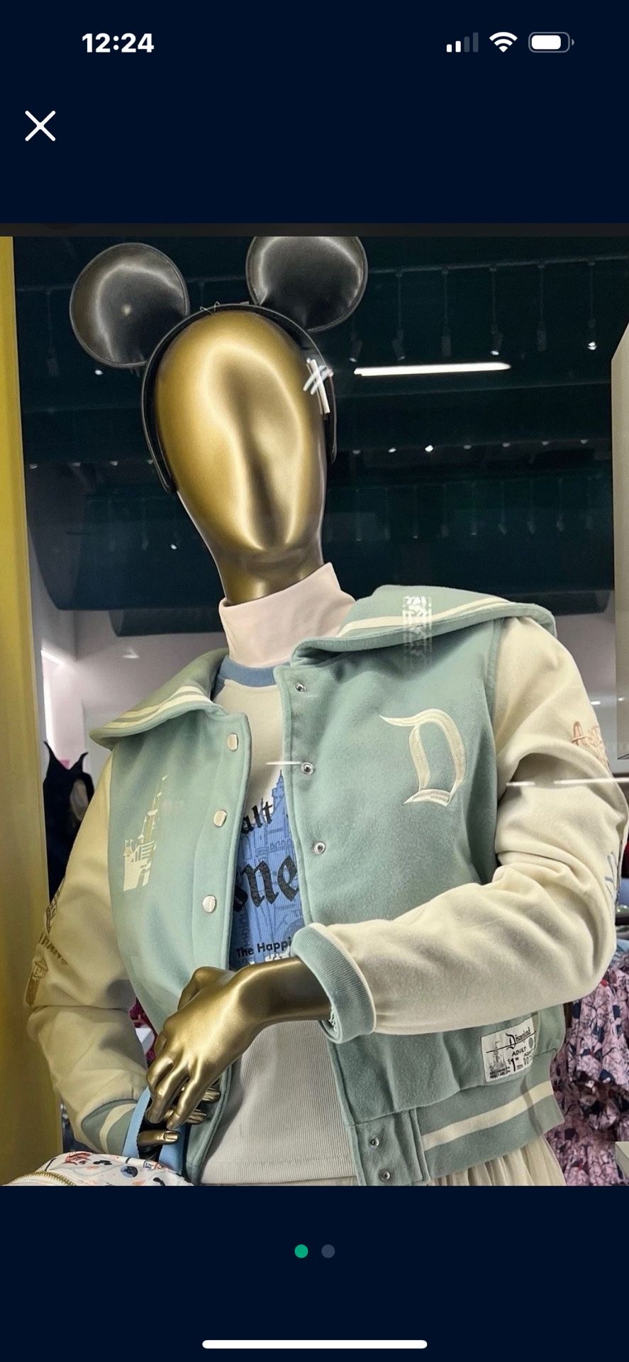 Disneyland Marquee Jacket