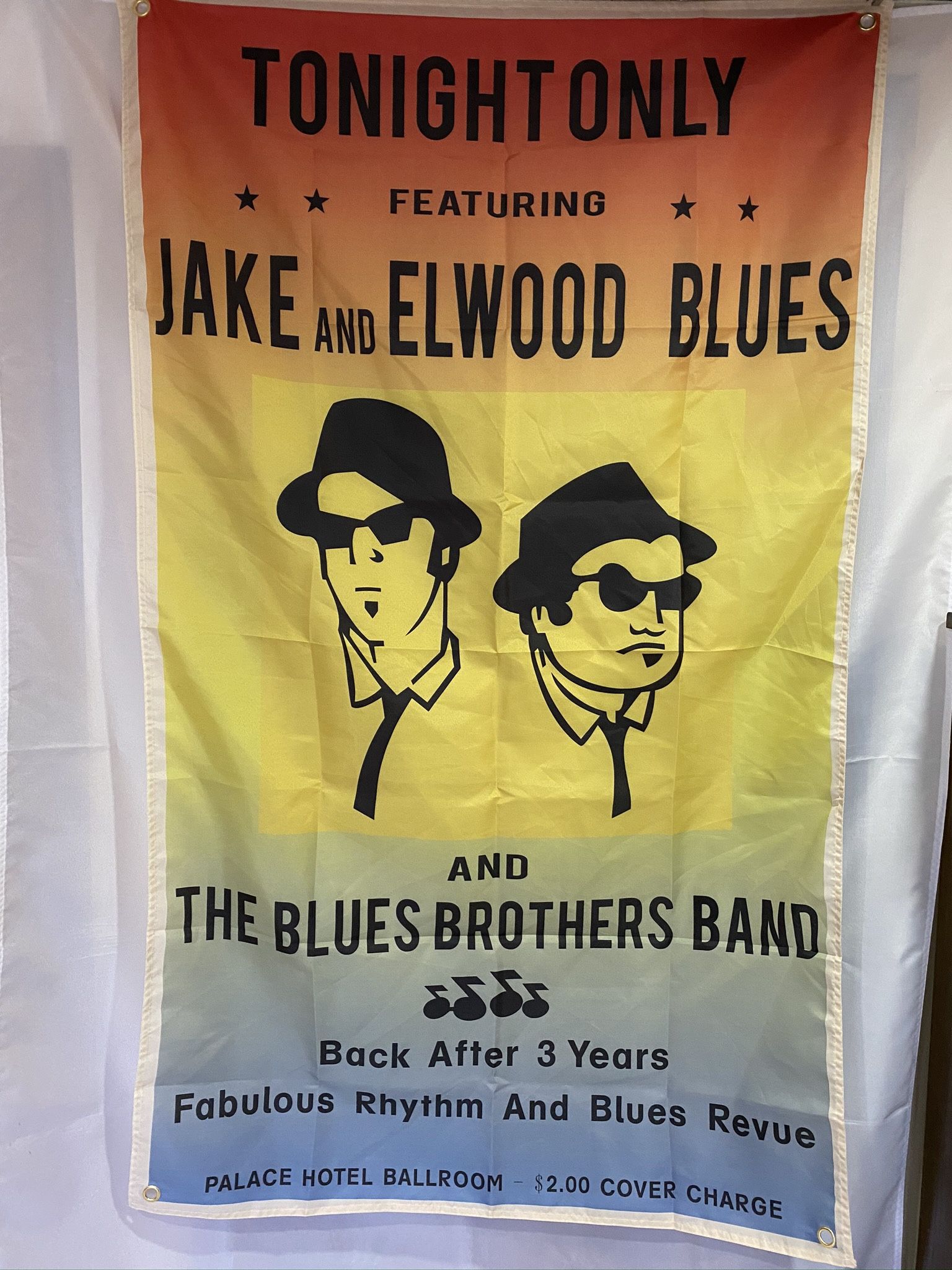 The Blues Brothers Wall Banner (3’x5’)