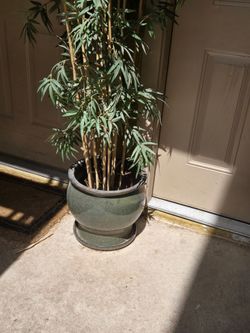 ceramic planter.