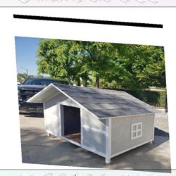 when test Garden Pet Houses - Solid Homes for Content Pets